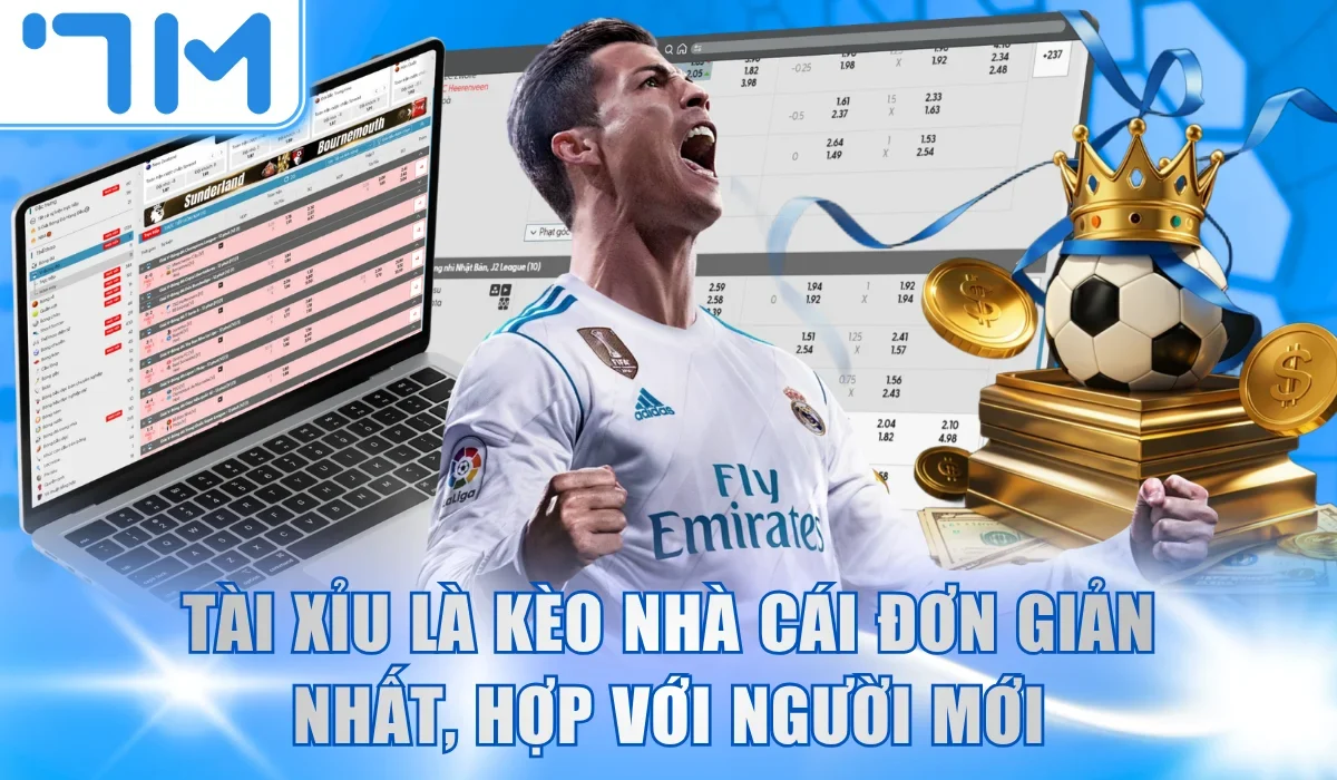Tài xỉu là kèo nhà cái đơn giản nhất, hợp với người mới