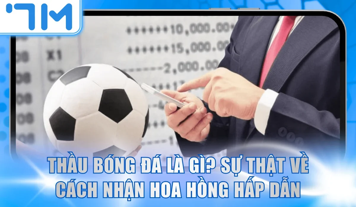 thầu bóng đá là gì