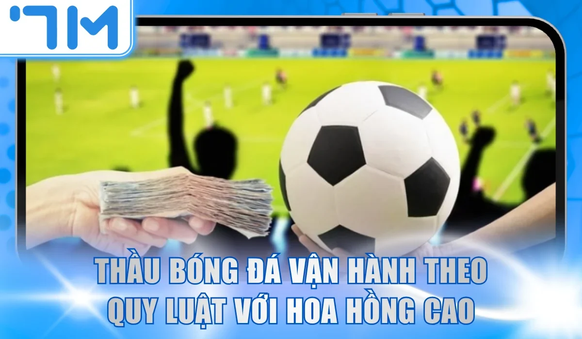 Thầu bóng đá vận hành theo quy luật với hoa hồng đa dạng