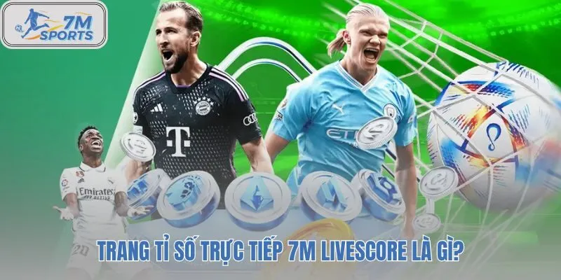 7m livescore